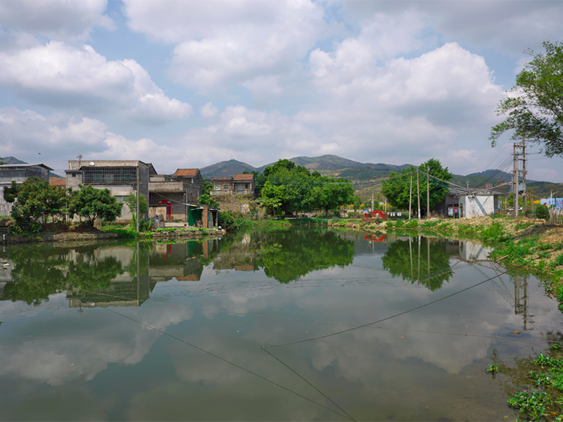 多參數(shù)水質(zhì)檢測儀價格