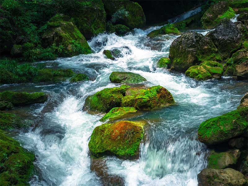 水質(zhì)檢測總氮標(biāo)準(zhǔn)