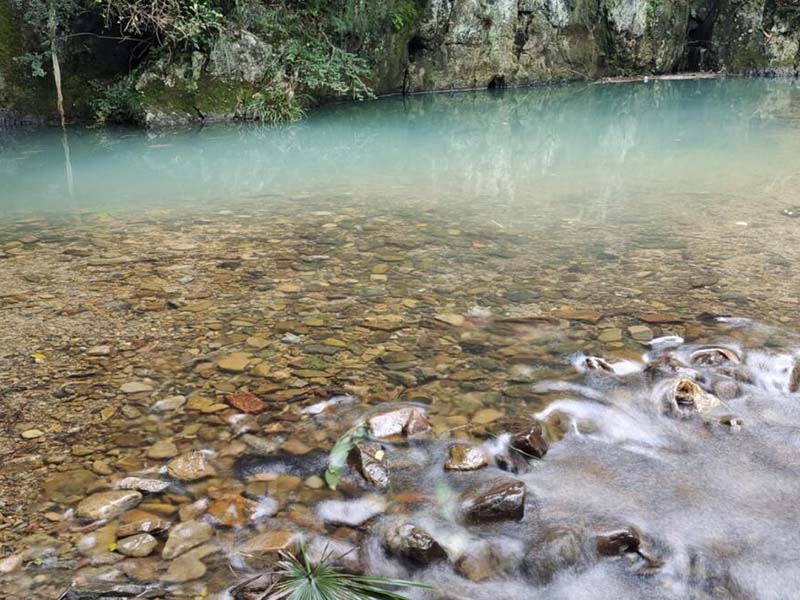 地表水水質(zhì)檢測(cè)標(biāo)準(zhǔn)限值是多少