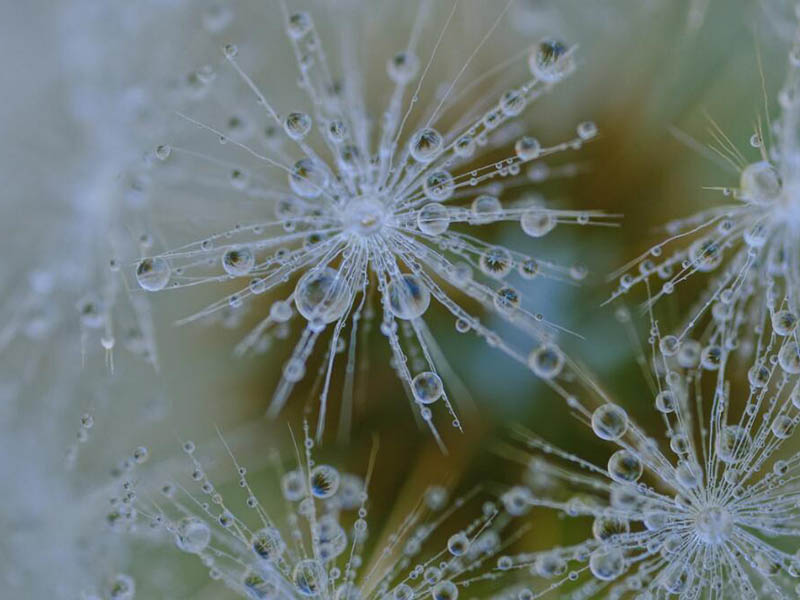 熒光法溶解氧測(cè)定儀原理