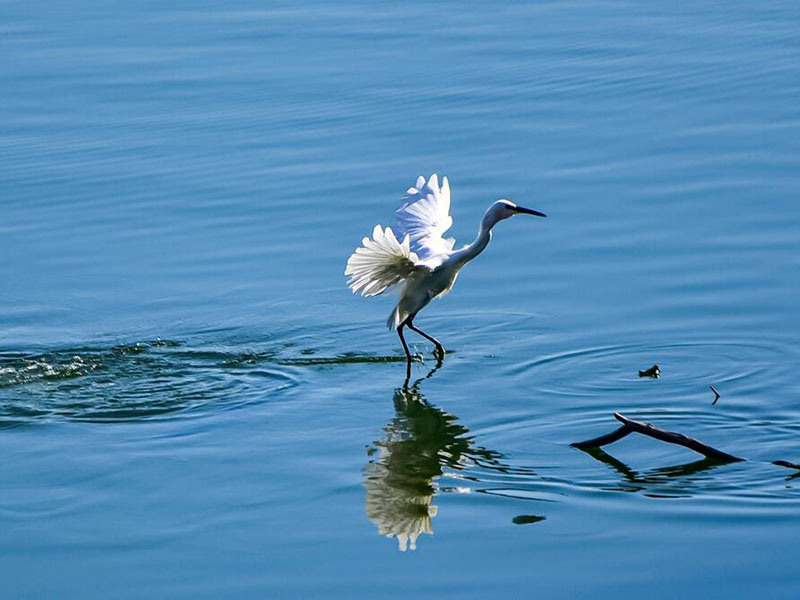 水產(chǎn)養(yǎng)殖主要檢測哪些指標(biāo)（水產(chǎn)養(yǎng)殖水質(zhì)檢測標(biāo)準(zhǔn)）